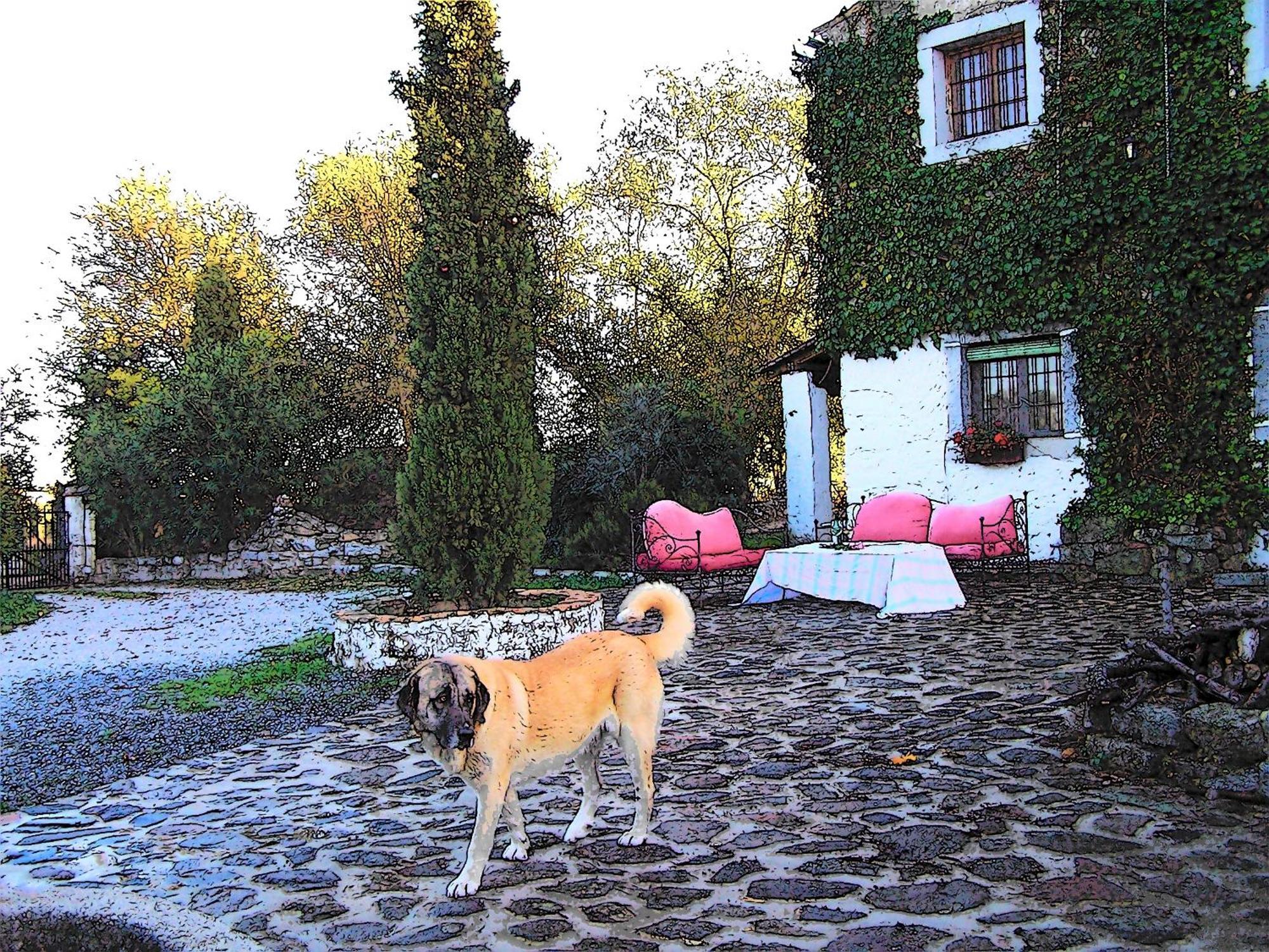 Casa Rural Cortijo Del Zoco Bajo Пособланко Екстериор снимка